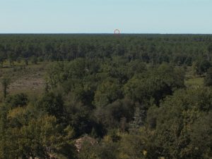 feu de foret detection