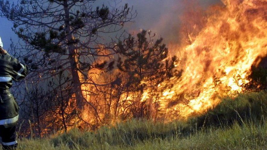 Feuer in natürlicher Umgebung