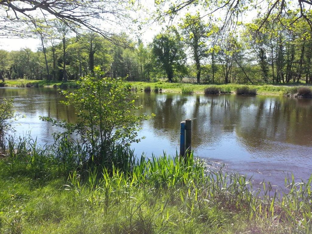 River monitoring