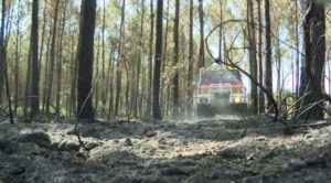 Arrosage de la végétation de Bussac-Forêt, au lendemain de l'incendie du 8 août