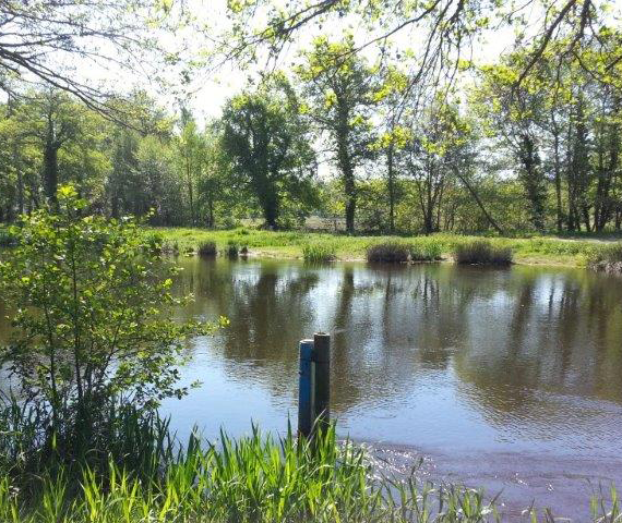 River level monitoring